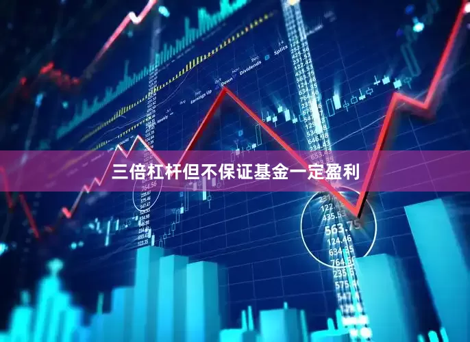 三倍杠杆但不保证基金一定盈利