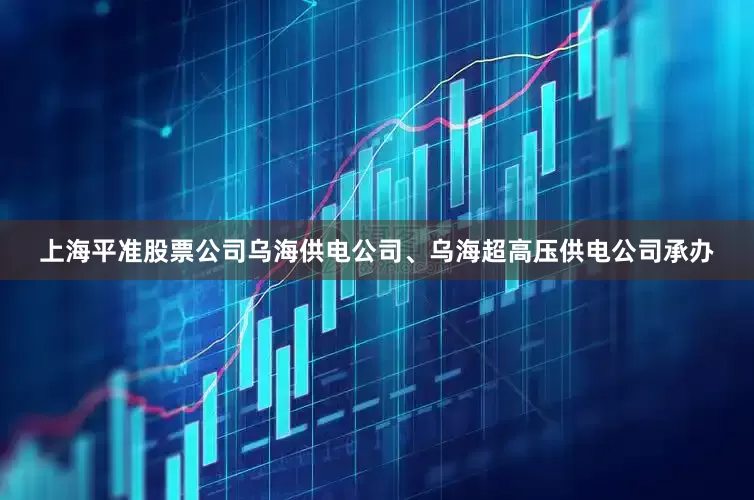 上海平准股票公司乌海供电公司、乌海超高压供电公司承办
