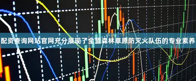 配资查询网站官网充分展现了全盟森林草原防灭火队伍的专业素养