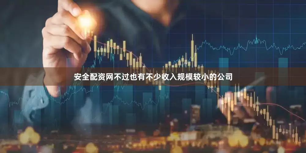 安全配资网不过也有不少收入规模较小的公司