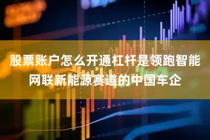 股票账户怎么开通杠杆是领跑智能网联新能源赛道的中国车企